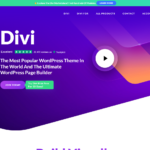 The best divi theme all the website users