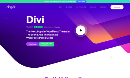 The best divi theme all the website users