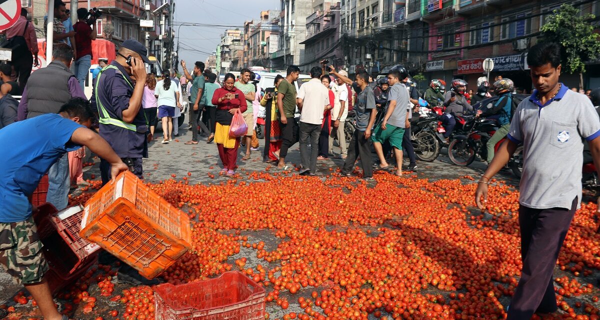 सडकमा गोलभेँडा फालिएको विषयमा छानबिन गर्न समितिको निर्देशन