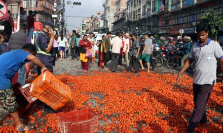 सडकमा गोलभेँडा फालिएको विषयमा छानबिन गर्न समितिको निर्देशन