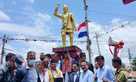 इनरुवामा बीपीको सालिक अनावरण